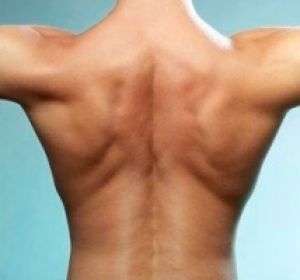 the pain in the shoulder blades