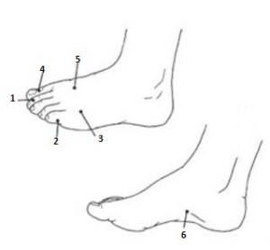 The point on the leg of headaches