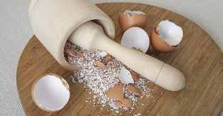 Egg shell as a calcium source